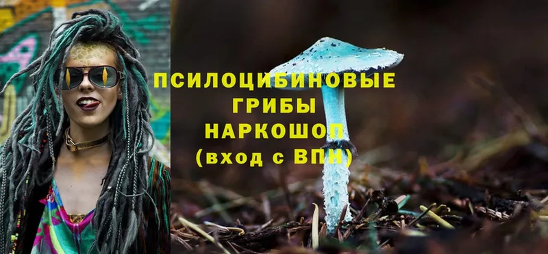 Псилоцибиновые грибы Psilocybine cubensis  цена   Невельск 